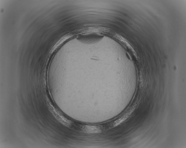 X0000081460794200702021806