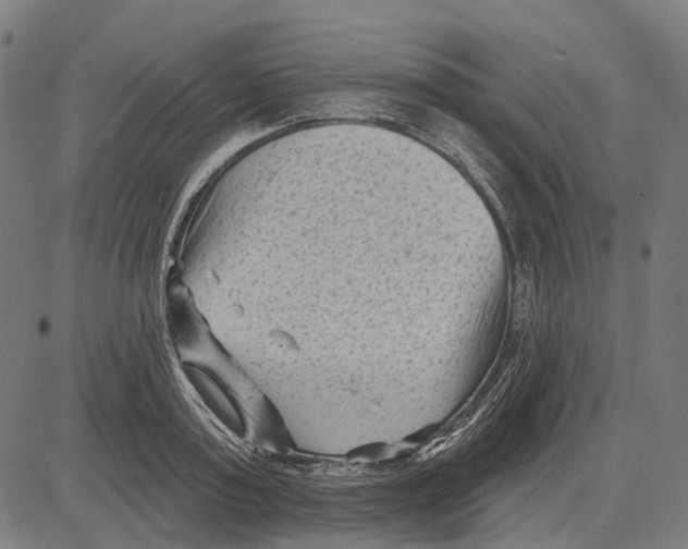 X0000081460795200702021806