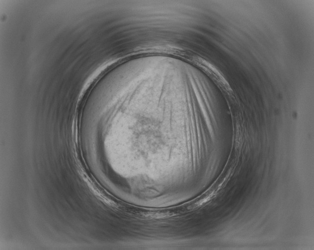 X0000081460796200702021806