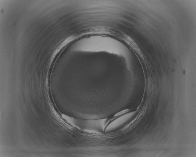 X0000081460797200702021806