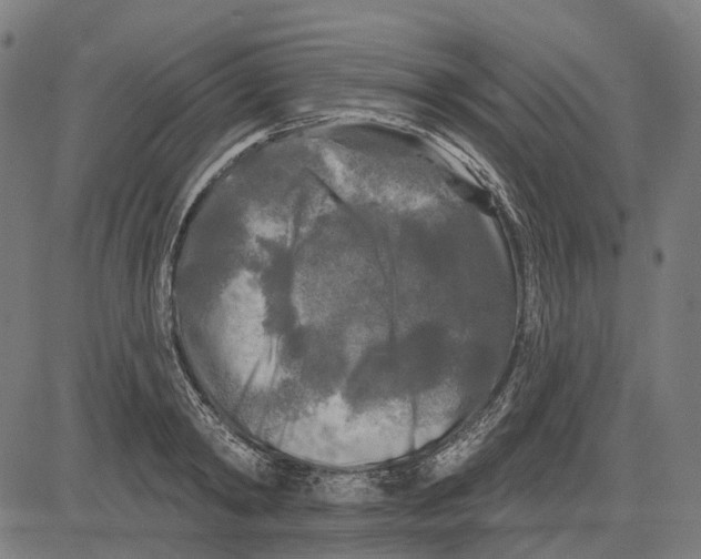 X0000081460798200702021806