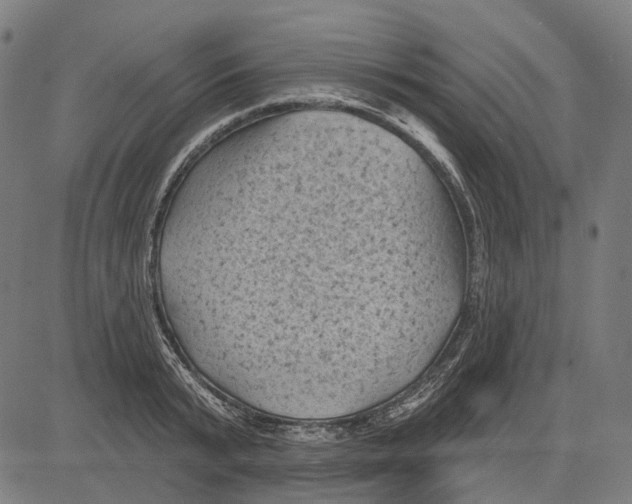 X0000081460799200702021806