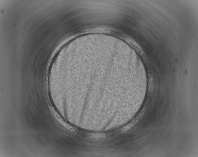 X0000081460800200702021806