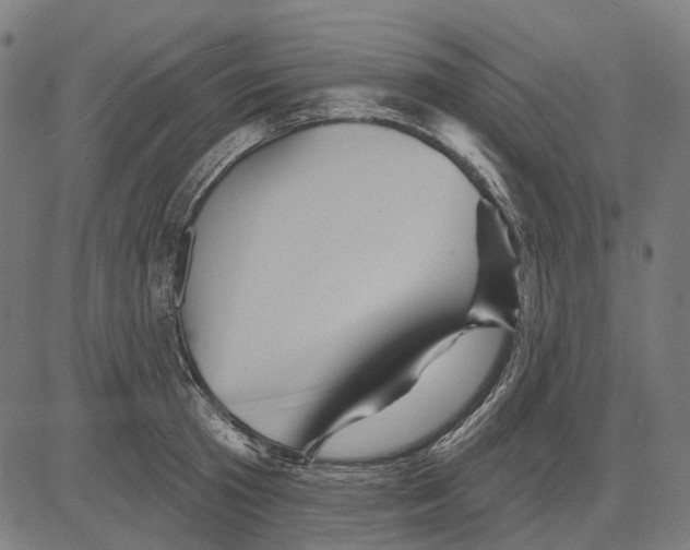 X0000081460801200702021806