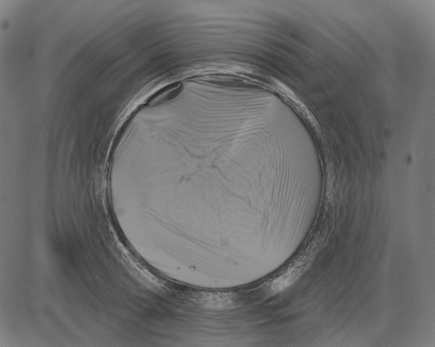 X0000081460802200702021806