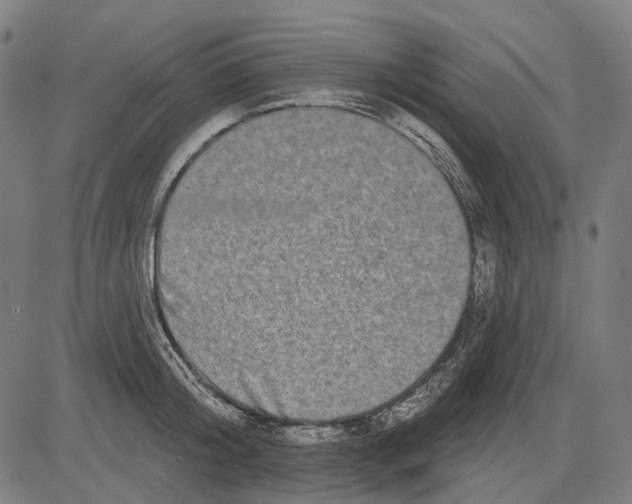 X0000081460804200702021806