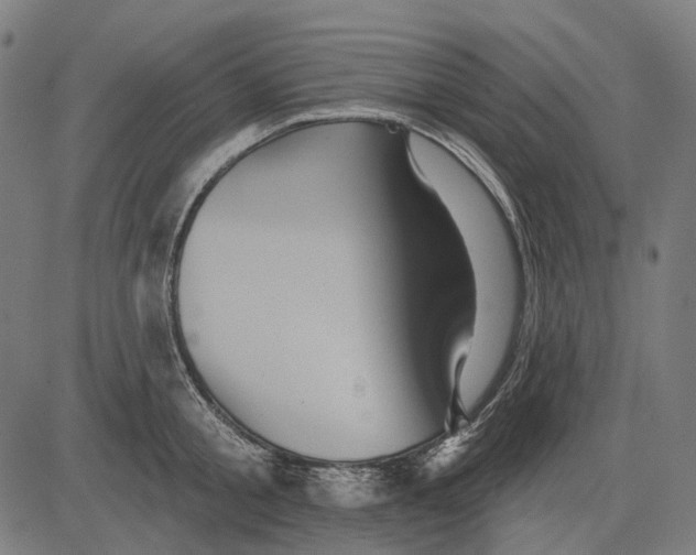 X0000081460805200702021806