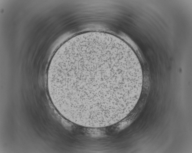 X0000081460807200702021806