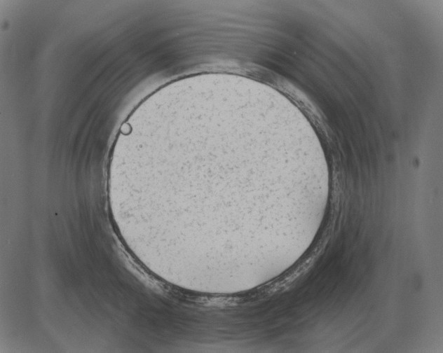 X0000081460808200702021806