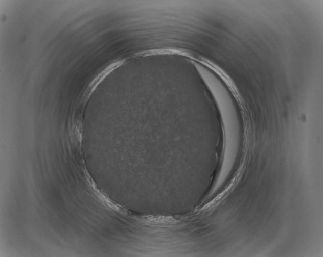 X0000081460809200702021806