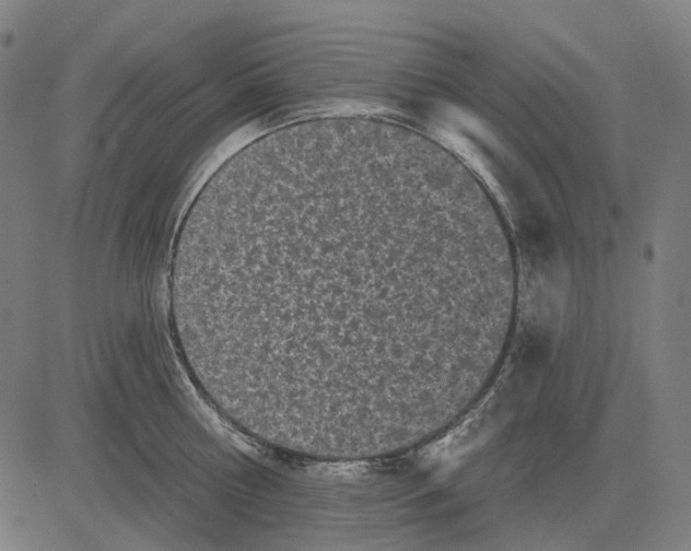 X0000081460810200702021806