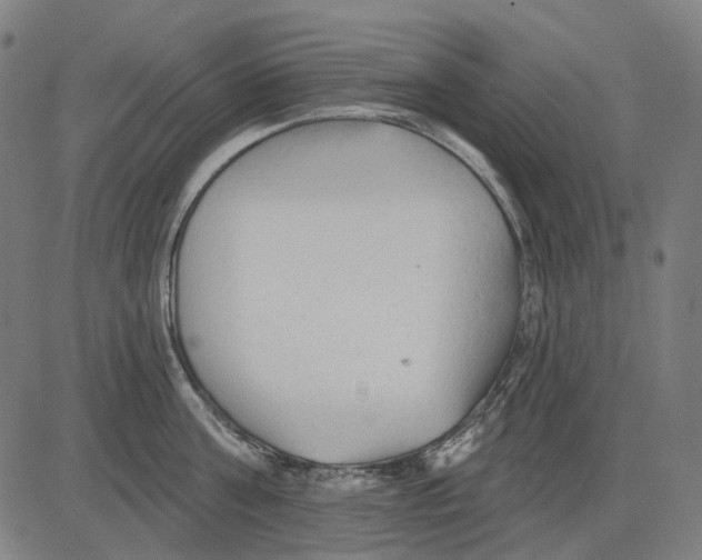 X0000081460811200702021806