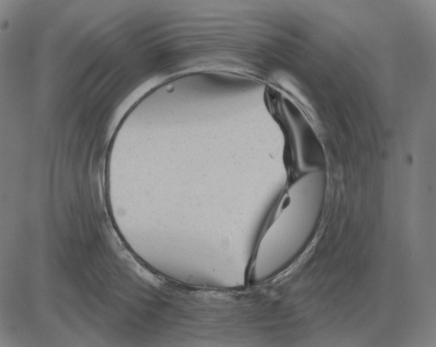 X0000081460812200702021806