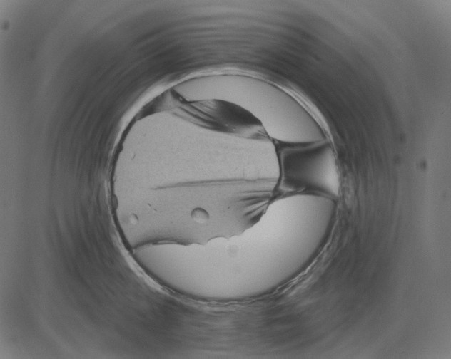 X0000081460813200702021806