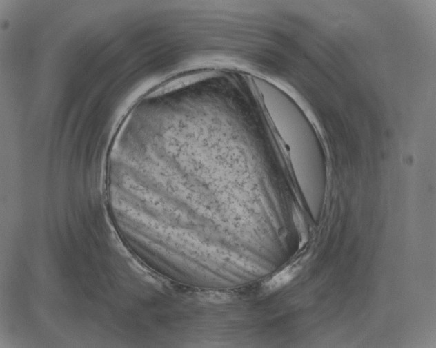 X0000081460815200702021806