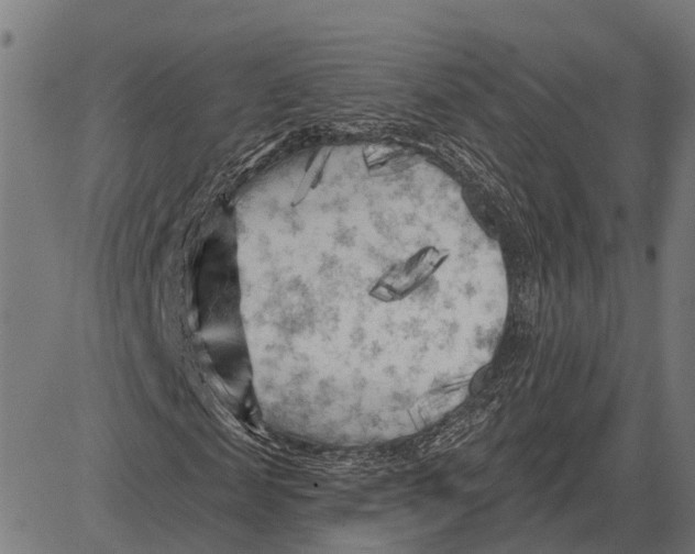 X0000081460817200702021805