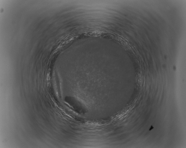 X0000081460818200702021805