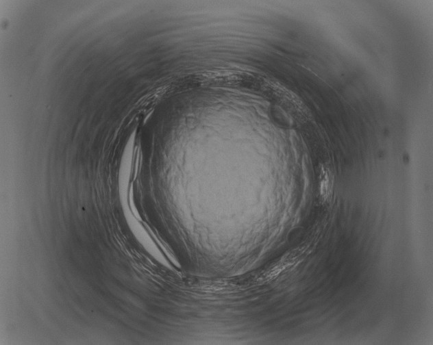 X0000081460819200702021805