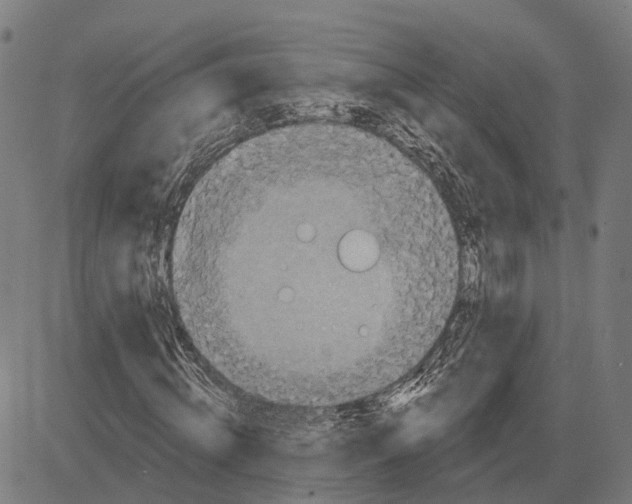 X0000081460820200702021805