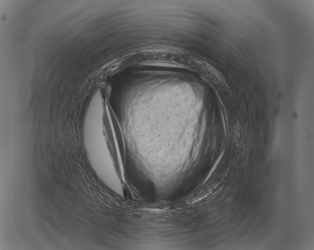 X0000081460821200702021805