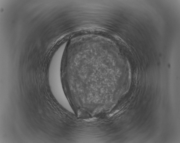 X0000081460822200702021805