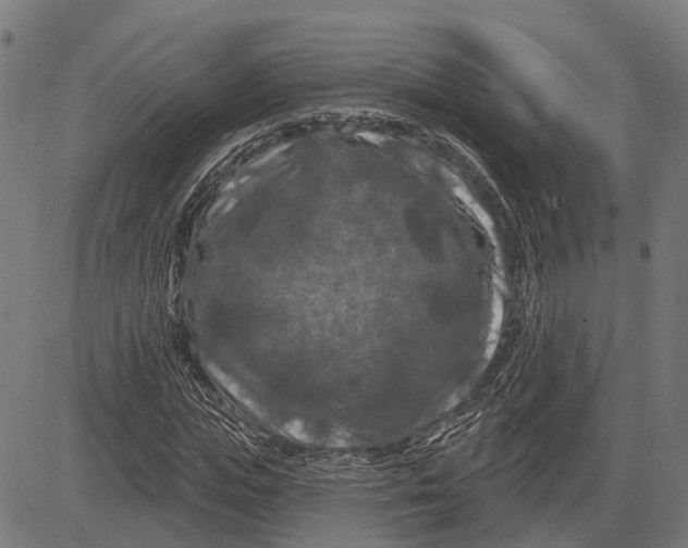 X0000081460823200702021805