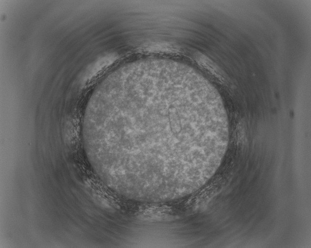 X0000081460824200702021805