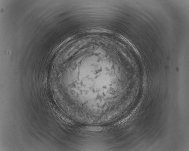 X0000081460825200702021805