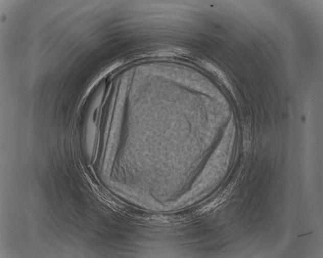 X0000081460827200702021805