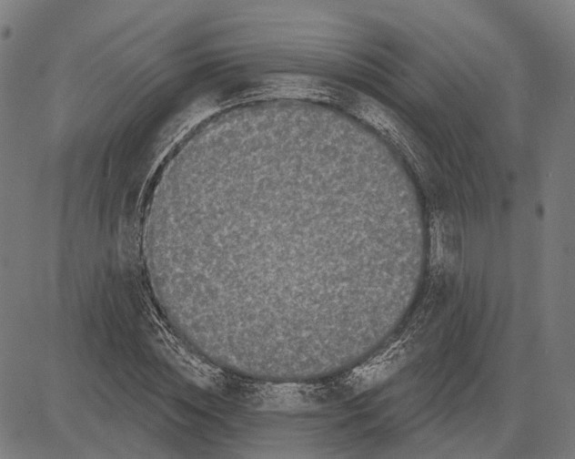 X0000081460828200702021805