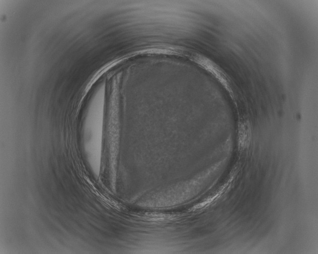 X0000081460829200702021805