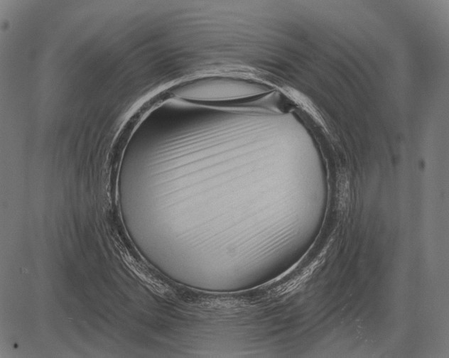 X0000081460830200702021805