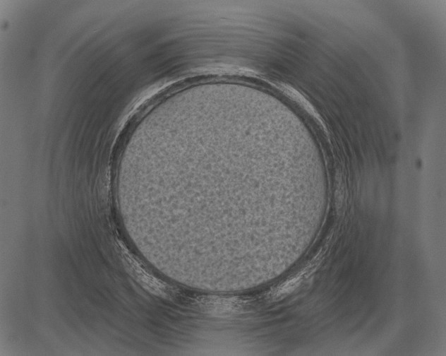 X0000081460831200702021805