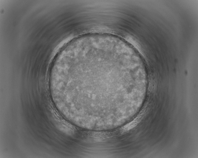 X0000081460832200702021805