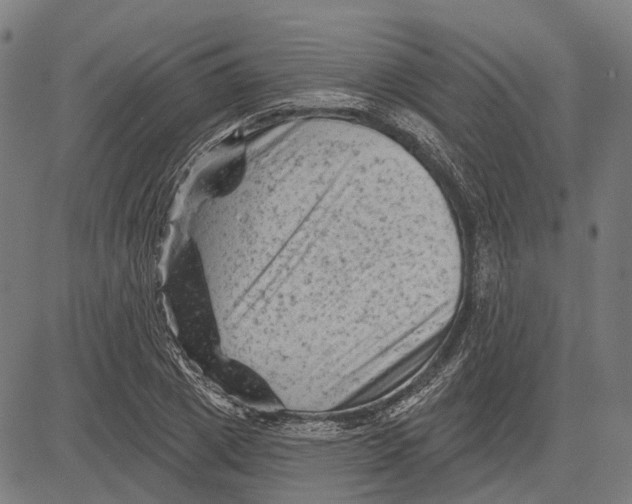 X0000081460833200702021805