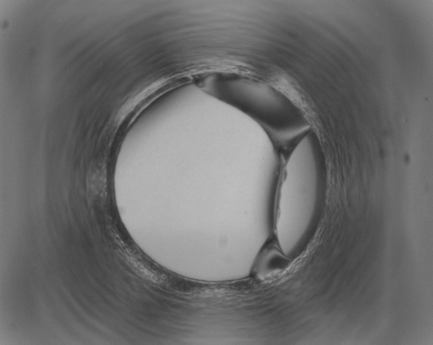 X0000081460834200702021805