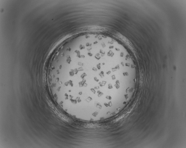 X0000081460835200702021805