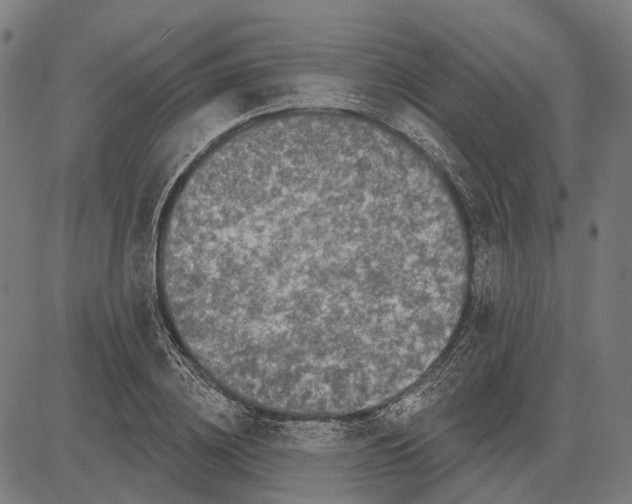 X0000081460836200702021805