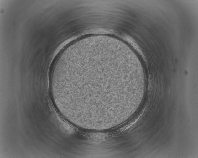 X0000081460837200702021805