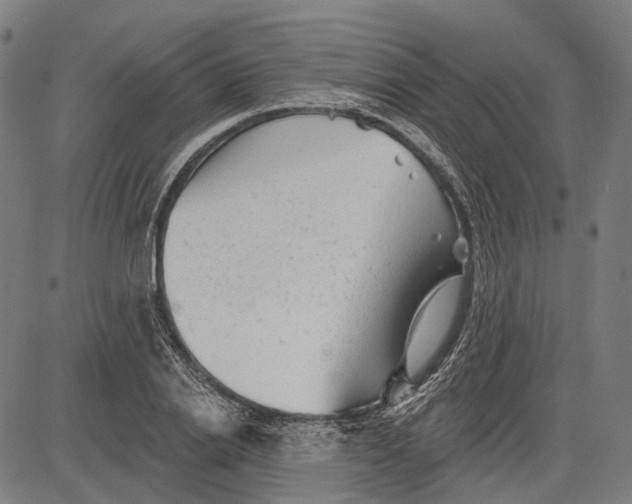 X0000081460838200702021805