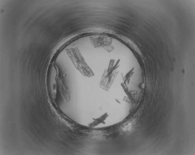 X0000081460839200702021805