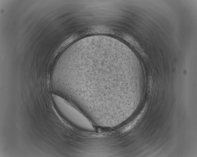 X0000081460841200702021805