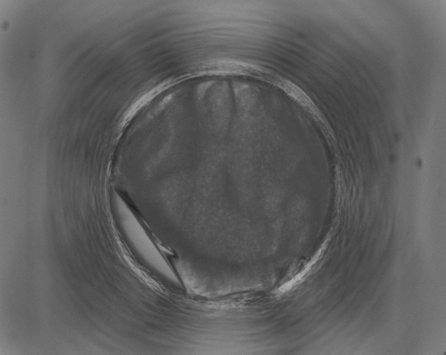 X0000081460842200702021805