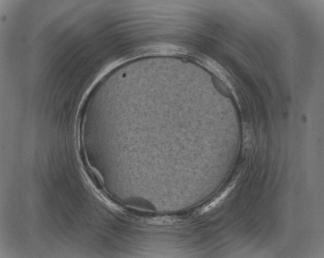 X0000081460843200702021805