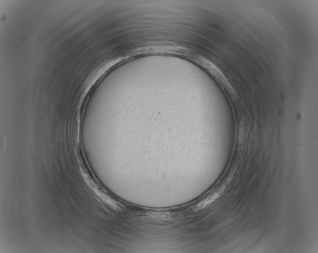 X0000081460844200702021805