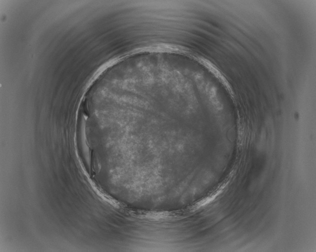 X0000081460845200702021805