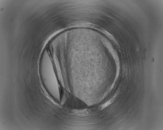 X0000081460846200702021805