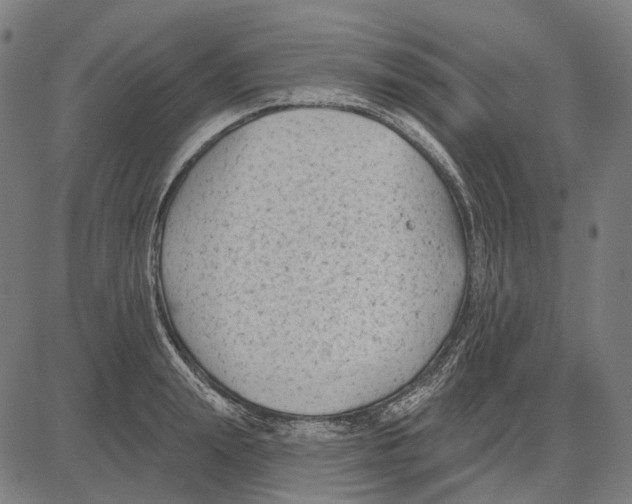 X0000081460847200702021805