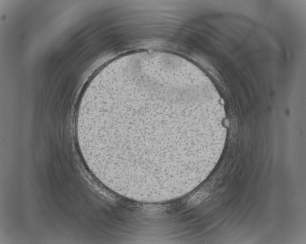 X0000081460848200702021805