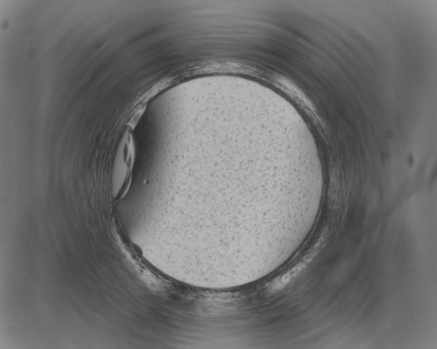 X0000081460849200702021805